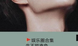 推文娱乐圈爆料的小说有哪些,揭秘那些被热传的小说背后的故事