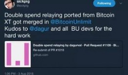 bch最新爆料,揭秘区块链巨头的下一轮变革