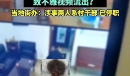 今日头条爆料村官视频,揭秘农村基层治理现状