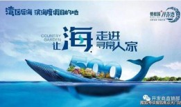 阳江最新爆料,揭秘神秘事件背后的真相