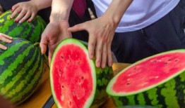 吃瓜网站免费精品,免费精品内容背后的秘密