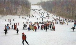 哈尔滨滑雪场爆料视频,极限运动挑战，冰雪世界中的速度与激情