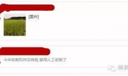 最新爆料图片怎么做的,最新爆料图片制作过程大揭秘