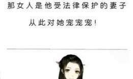 推文娱乐圈爆料的小说有哪些,揭秘那些被热传的小说背后的故事