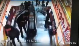 小马哥爆料厦门视频播放,厦门视频背后的精彩故事