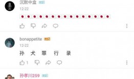 爆料主力孙笑川视频播放,揭秘幕后故事与热门话题