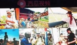 西瓜嘉年华爆料视频大全,视频大全回顾