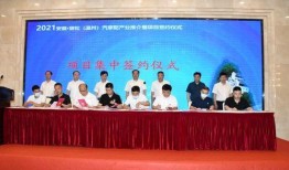 2019宿松爆料新闻,真相与争议交织的年度事件盘点