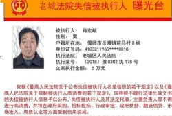 最新爆料执行官是谁呀图片,神秘执行官身份曝光！