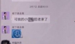 爆料女嘉宾打呼噜视频,女嘉宾打呼噜视频走红网络