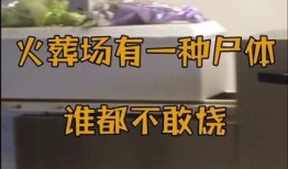 火葬场爆料员工视频大全,真实火化过程与行业内幕大曝光
