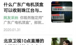 小马哥爆料厦门视频播放,厦门视频背后的精彩故事