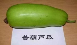 网红吃葫芦瓜视频,趣味横生引网友热议