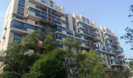 砀山碧桂园爆料最新消息,揭秘项目进展与未来规划