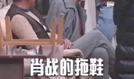 娱乐圈瓜哥爆料视频,揭秘明星背后的惊人真相！