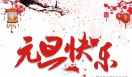 新年花神剪影爆料视频,剪影视频中的神秘花神形象大猜想