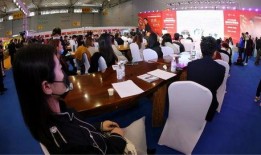 网红新闻发布会爆料,揭秘幕后故事与惊人内幕